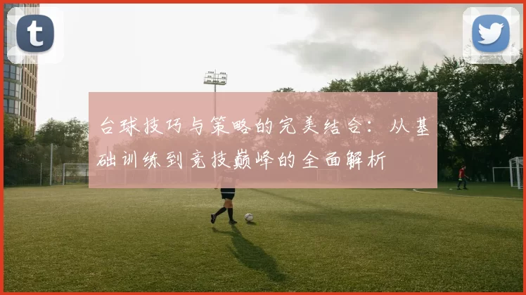 台球技巧与策略的完美结合：从基础训练到竞技巅峰的全面解析