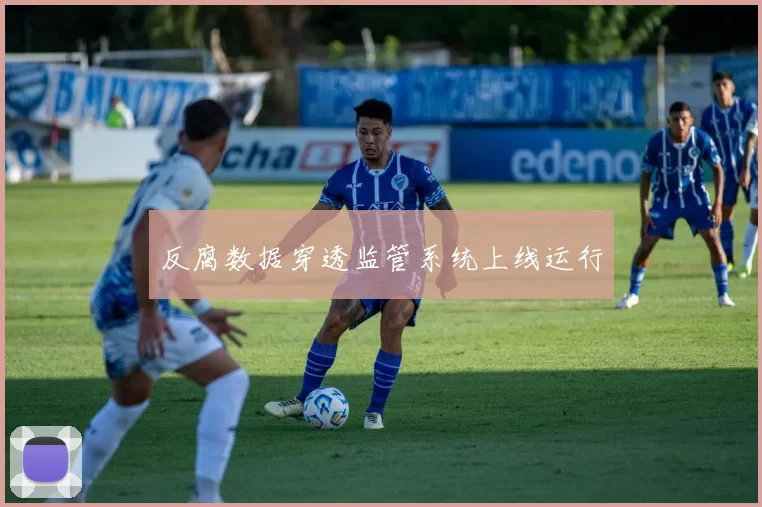 反腐数据穿透监管系统上线运行