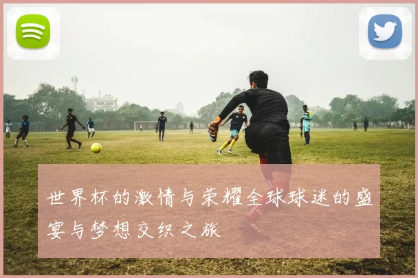 世界杯的激情与荣耀全球球迷的盛宴与梦想交织之旅