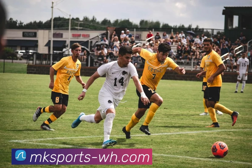 MKsports平台生态图